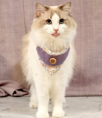 主子賣萌-春日香氣系列-嬌羞小花口袋領巾(嫩紫)