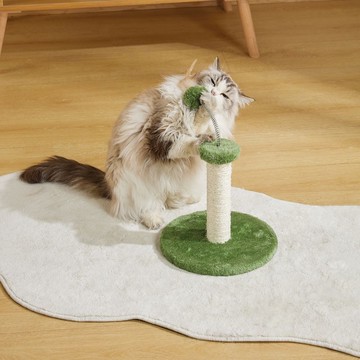 【MPETS】與撒嬌貓貓一起探索環境、放鬆! 入門款小貓爬樹