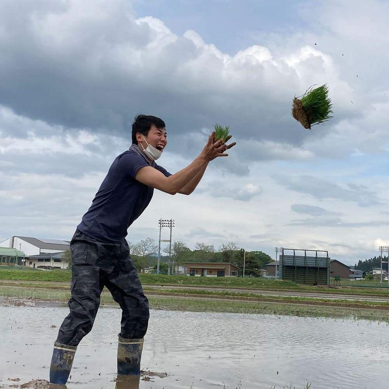 水菜土農園精米セット秋田県産 あきたこまち 5kg・ミルキークイーン 5kg 令和4年産 御縁米（縁結び）150g 付き