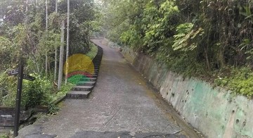 #新田登山步道林地｜台中市潭子區新田段