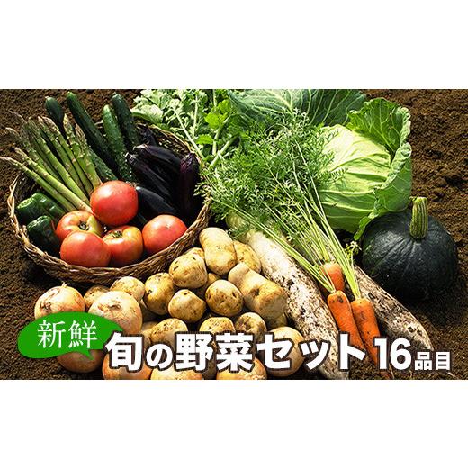 ふるさと納税 熊本県 御船町 旬の新鮮野菜たっぷり16品セット《30日以内に順次出荷(土日祝除く)》★御船町産を中心とした旬の野菜セット 冷蔵 詰め合わせ 季節…