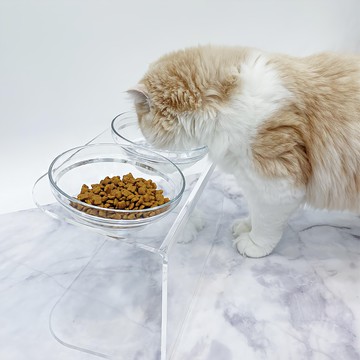 Ringpet 寵物壓克力玻璃碗 雙碗組  1個  透明