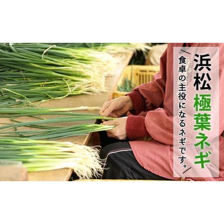 ふるさと納税 おとなりさんち厳選！浜松から鮮度抜群！旬の野菜BOX 静岡県浜松市