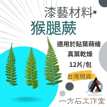 【一方石】猴腿蕨 真葉乾燥素材 隔日配 貼葉蒔繪好用 漆藝材料 12片/包 手作貼花 樹脂工藝用