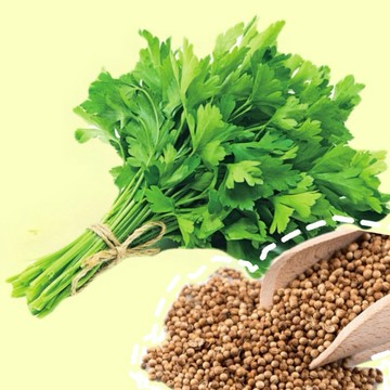 香菜種籽【大里種苗】種子│菜苗│蔬果│菜籽│蔥│料理│天然有機│調味