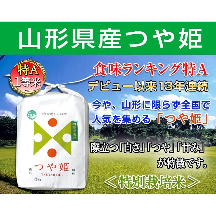  お米 つや姫 10kg 山形県産 庄内産 令和4年産 白米（5kg×2袋）一等米 特別栽培米 13年連続特A