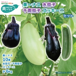 野菜 夏野菜 なすび 茄子 美～ナス 10本 千両茄子 水茄子 約4kg 詰め合わせ セット 朝どれ 産地直送