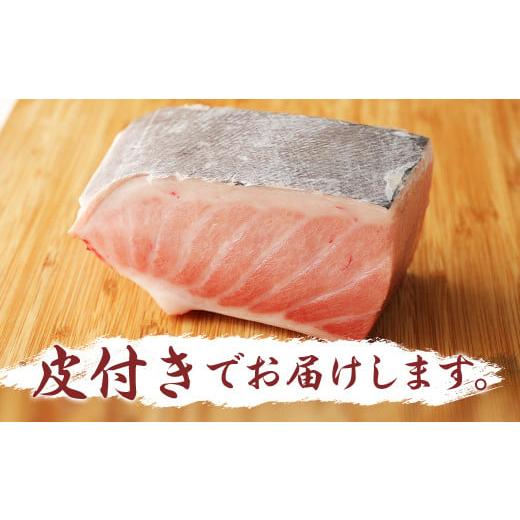 ふるさと納税 長崎県 時津町 長崎県産 本マグロ（養殖）大トロ 皮付き 約600g 生食用