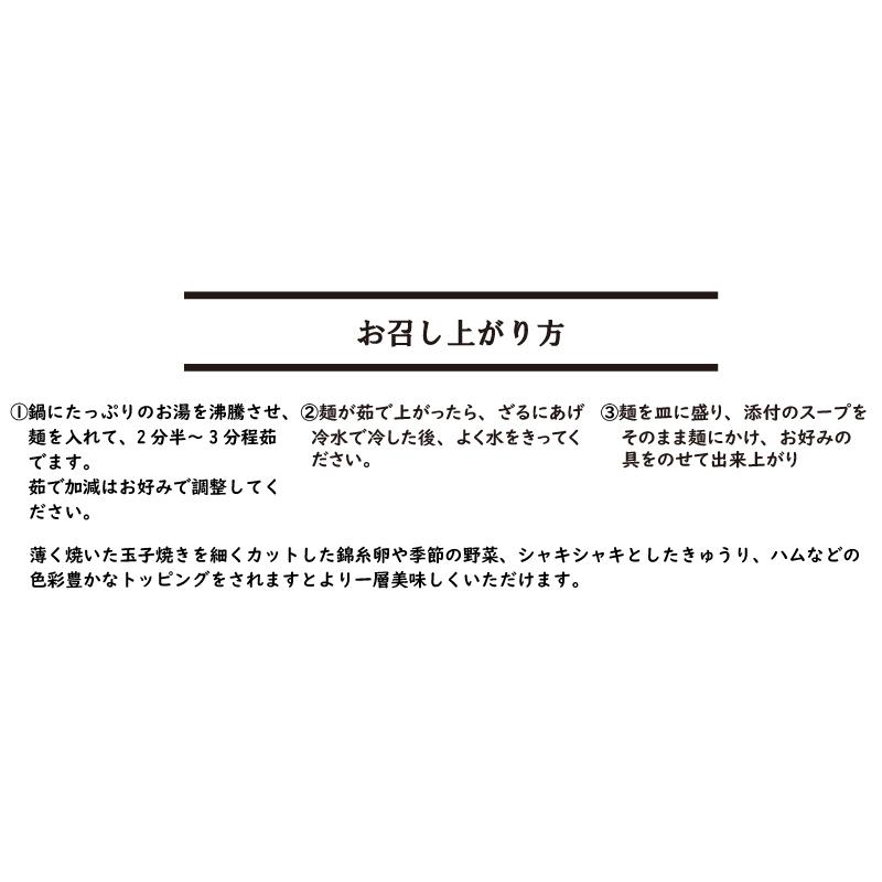 ごまだれ 冷やし中華セット 6食  麺とスープのセット ポイント消化 冷麺 冷し中華 送料無料 1000円ポッキリ 乾麺