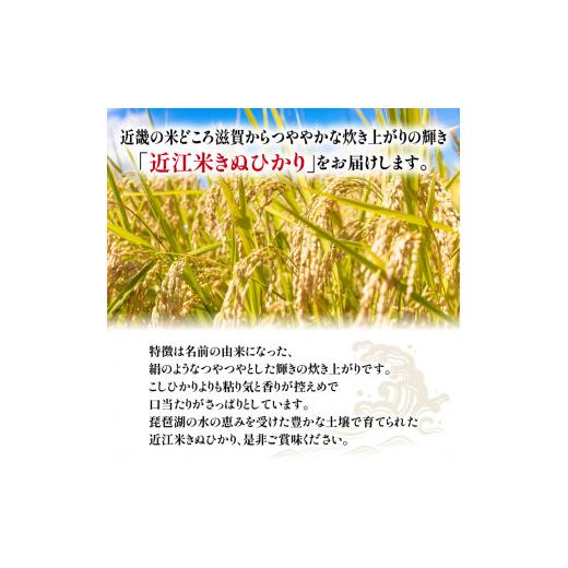 ふるさと納税 滋賀県 竜王町 令和5年産 きぬひかり 10kg 全6回 近江米 新米 米粉 200g付