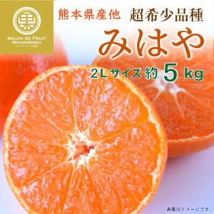 [予約 2023年 11月25日-12月15日の納品] みはや 約5kg 2L 熊本県産ほか 化粧箱 みはやみかん 早生 紅みかん 柑橘 高糖度　 冬ギフト お歳