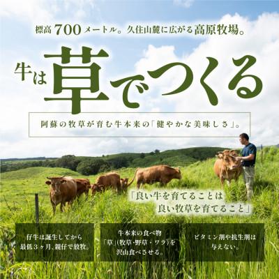 ふるさと納税 産山村 くまもとあか牛 焼肉セット　赤身肉 カルビ(150g×2パック)