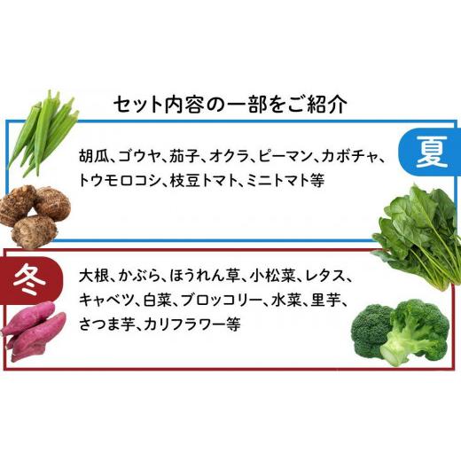 ふるさと納税 和歌山県 上富田町 紀南の採れたて新鮮野菜・フルーツ・お米詰め合わせセット（8〜15品目詰め合わせ）