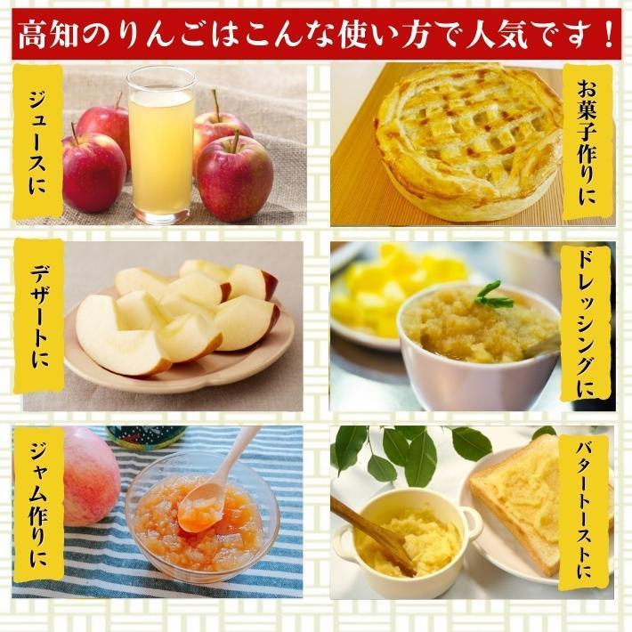 2024年度予約 高知県産 りんご ふじ  減農薬  有機肥料 8玉入 土本観光農園 ギフト 産地直送