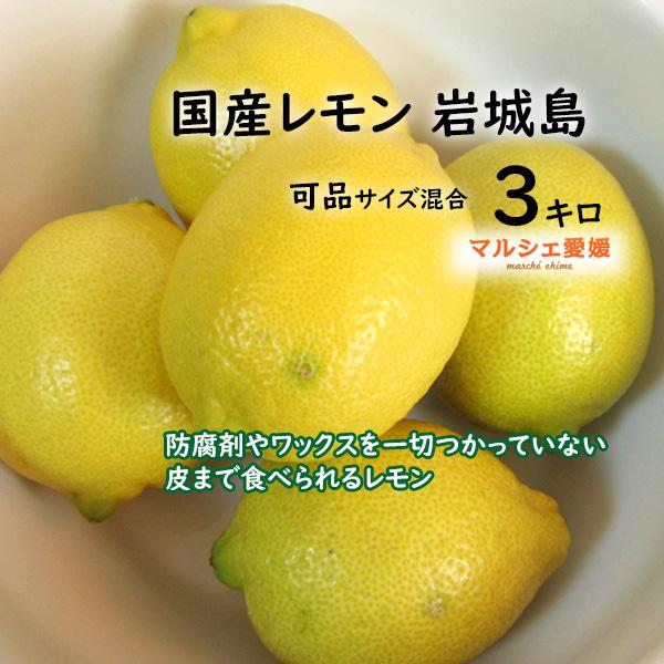 瀬戸内レモン 可品３kg サイズ混合 Sサイズ Mサイズ Lサイズ 2Lサイズ 皮まで食べられる 防腐剤やワックス不使用 国産 一部地域 送料無料