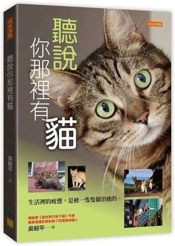 聽說你那裡有貓：生活裡的疲憊，是被一隻隻貓治癒的。【城邦讀書花園】