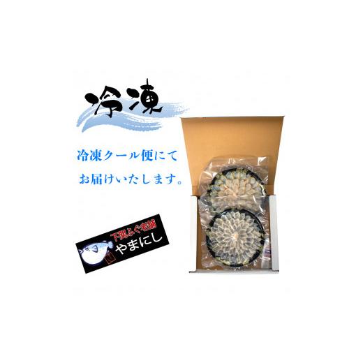 ふるさと納税 山口県 下関市 とらふぐ 天然真ふぐ たたき 刺身 3人前 冷凍 てっさ 本場フグ刺し 河豚 高級魚 鮮魚 本場 下関 山口  旬 お取り寄せ ギフト 年末…