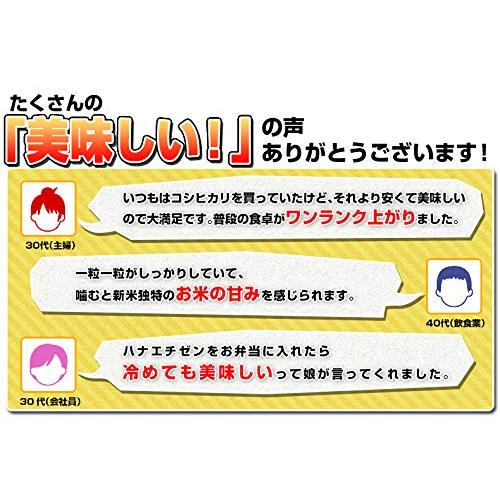 新米 福井県産ハナエチゼン 令和5年産 (20kg)