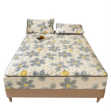 床單棉單件加厚絨床牛奶夾防塵床罩床墊珊瑚笠冬季床包絨三件套