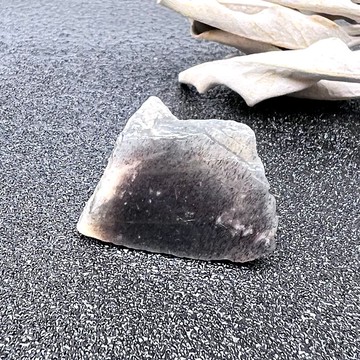 漠炬。原礦 療癒 消除負能量 避邪 l 黑金骨幹原石 礦標 l