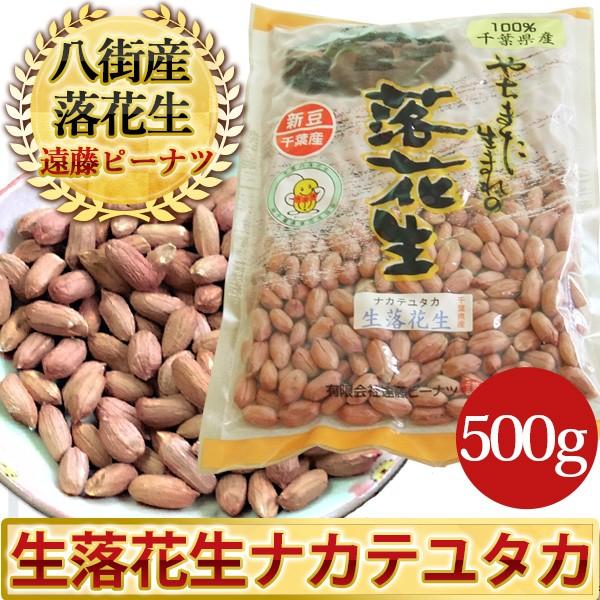 2023年度産 新豆 未調理なま落花生(ナカテユタカ)二等500g 千葉県八街産落花生