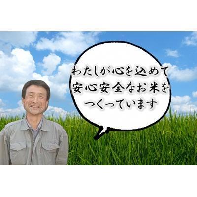 ふるさと納税 阿賀野市 新潟県認証!特別栽培米 コシヒカリ 10kg