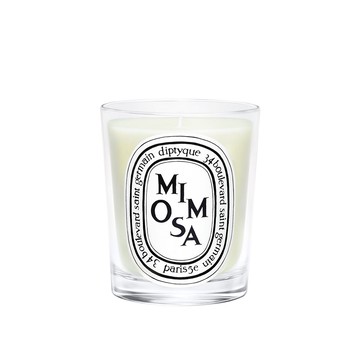 香氛蠟燭-含羞草