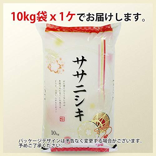  ササニシキ 10kg (10kgx1袋) 山形県産 令和5年産 米