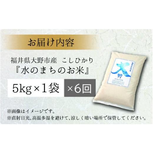 ふるさと納税 福井県 大野市 こしひかり 5kg×6回 計30kg「エコファーマー米」水のまちのお米