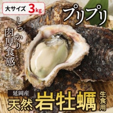 延岡産天然岩牡蠣(生食用)3kg(大)