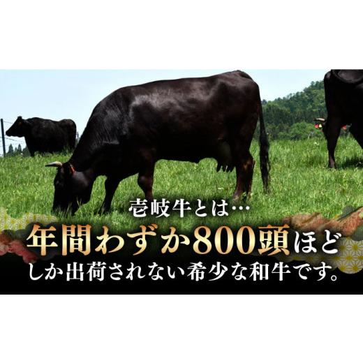 ふるさと納税 長崎県 壱岐市 A5・A4ランク 壱岐牛 ヒレステーキ 120g×3枚 [JAA013] ヒレ ステーキ ヘレ フィレ 厚切り 赤身 希少部位 お肉 黒…