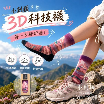 【小創襪】氣墊襪 百岳台灣 足弓襪 咖啡紗3D科技襪 登山襪 足弓氣墊襪 除臭襪 運動襪 長襪 健身襪 嘉明湖 山系列