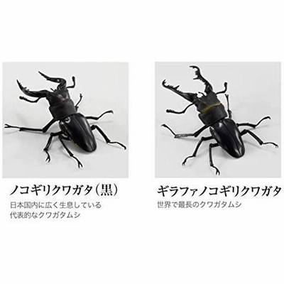 クワガタおもちゃの通販 285件の検索結果 Lineショッピング