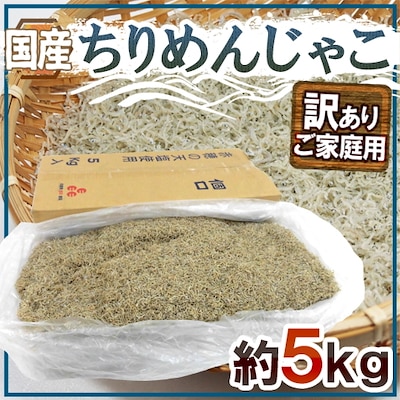 国産 ちりめんじゃこ 訳あり 約5kg しらす干し（冷凍便）