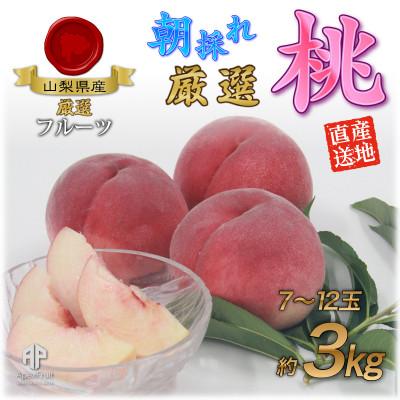 ふるさと納税 南アルプス市 厳選!南アルプス市産　朝採り桃　約3kg(7玉〜12玉)