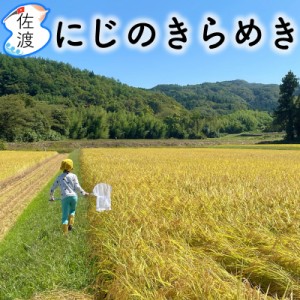 令和5年産  佐渡産にじのきらめき 15kg  (白米 玄米)( 無洗米 7分づき：有料) 大野山麓で栽培した特別栽培米 農薬化学肥料5割減