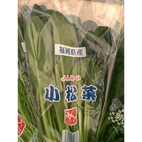 九州産　ほうれん草・小松菜・水菜　葉物野菜　3品目　詰合せセット