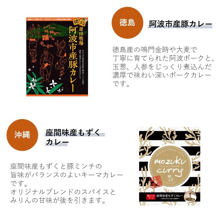レトルトカレー バラエティー 10食 詰め合わせ 中辛 人気 ご当地 グルメ 日本 お取り寄せ 食べ比べ ギフトセット 旅行 常温保存 2023 食べ物