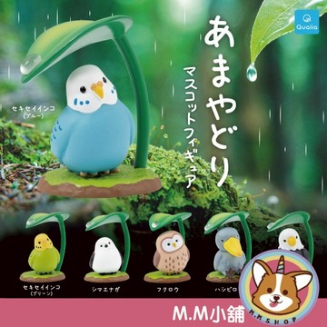 【M.M小舖】『現貨』 Qualia 轉蛋 扭蛋 躲雨動物 躲雨 動物 鸚鵡 貓頭鷹 文鳥 公仔 全6款