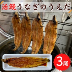 活鰻　おいしいうな丼が作れる国産うなぎ蒲焼3本(タレ3ヶ入)