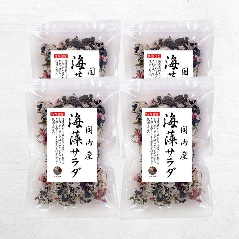 海藻本舗 海藻サラダ 国内産 200ｇ（50g×4袋）