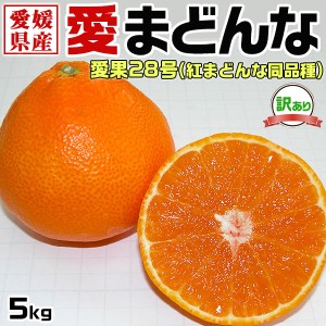 愛まどんな 5kg(愛果28号) 訳あり・家庭用…