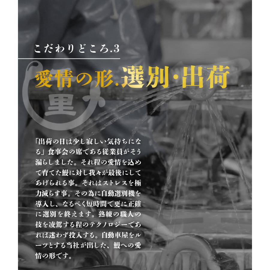 ギフト うなぎ 蒲焼 千里うなぎ 送料無料 ギフト 千里うなぎ蒲焼 (大) １５０ｇ 無頭 ３尾 国産 うなぎ セット 冷凍発送  鰻 ウナギ 鹿児島