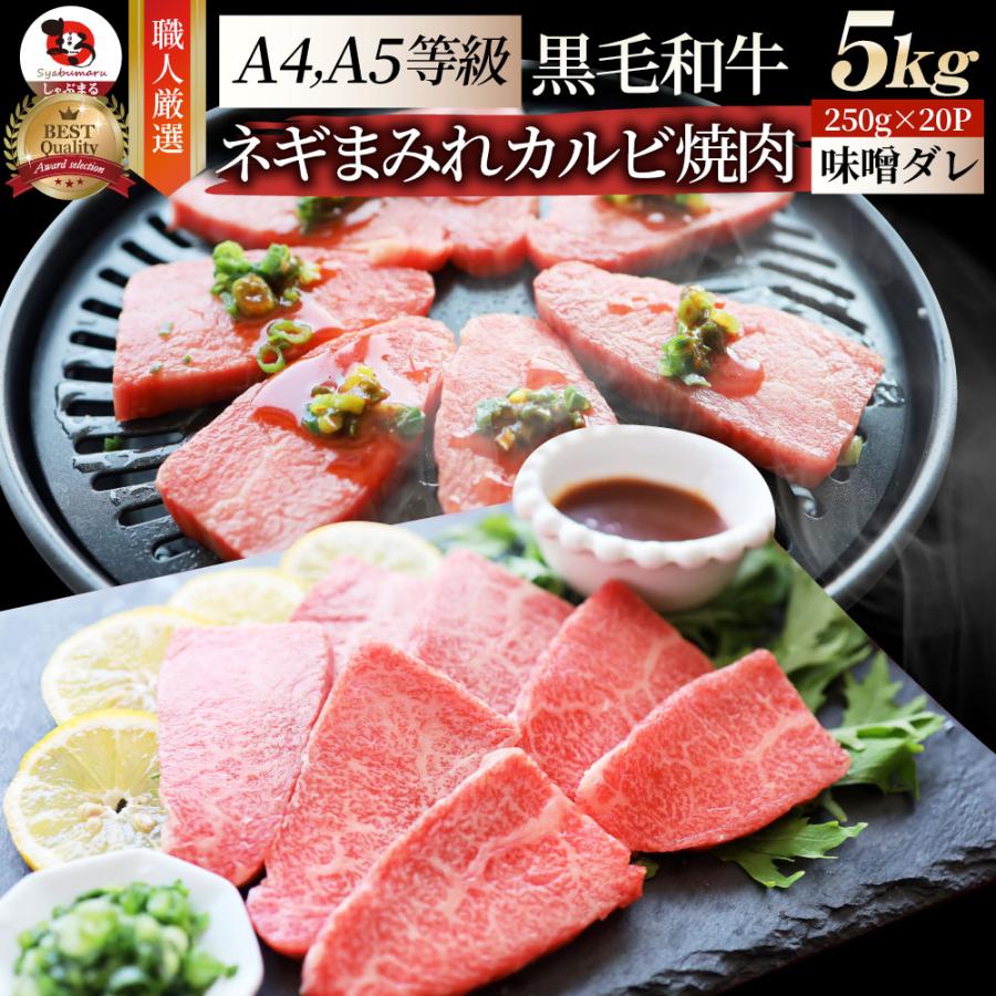 A4,A5等級 特選 黒毛和牛 カルビ焼肉 5kg  ねぎまみれ 旨辛味噌ダレ（ A4 〜 A5等級 ）牛肉 肉 お歳暮 ギフト 食品 お祝い  霜降り 贅沢 黒毛 和牛