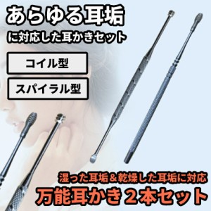 よく取れる 耳かき 2本セット ステンレス スプーン コイル
