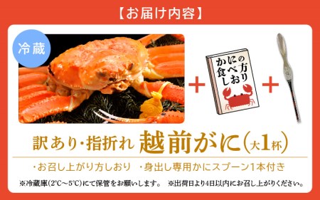 越前ガニ本場の越前町からお届け！越前ガニ浜茹で 越前ガニ（大 )×1杯 食べ方しおり かにスプーン付き 越前町の網元漁師厳選の越前ガニ [e15-x005_02] 福井県 雄 ズワイガニ ボイルガニ 冷蔵 越前がに 越前かに 越前ガニ 越前カニ 越前蟹 かに カニ 蟹