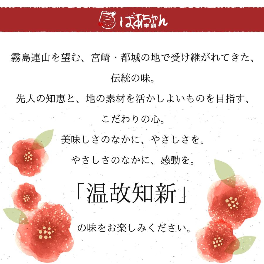 送料無料 宮崎牛ビーフシチュー 200g×2個 お手軽便