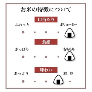 厳選米 ミルキークイーン 10kg 米 お米 