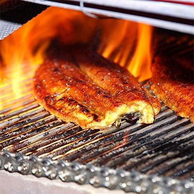 ふるさと納税 有田市 国産うなぎ蒲焼きカット1kgセット