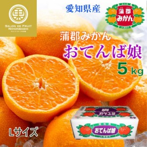 [予約 2023年 11月10日-12月30日の納品] 蒲郡みかん おてんば娘 約5kg Lサイズ 愛知県蒲郡産 箱入娘　 冬ギフト お歳暮 御歳暮